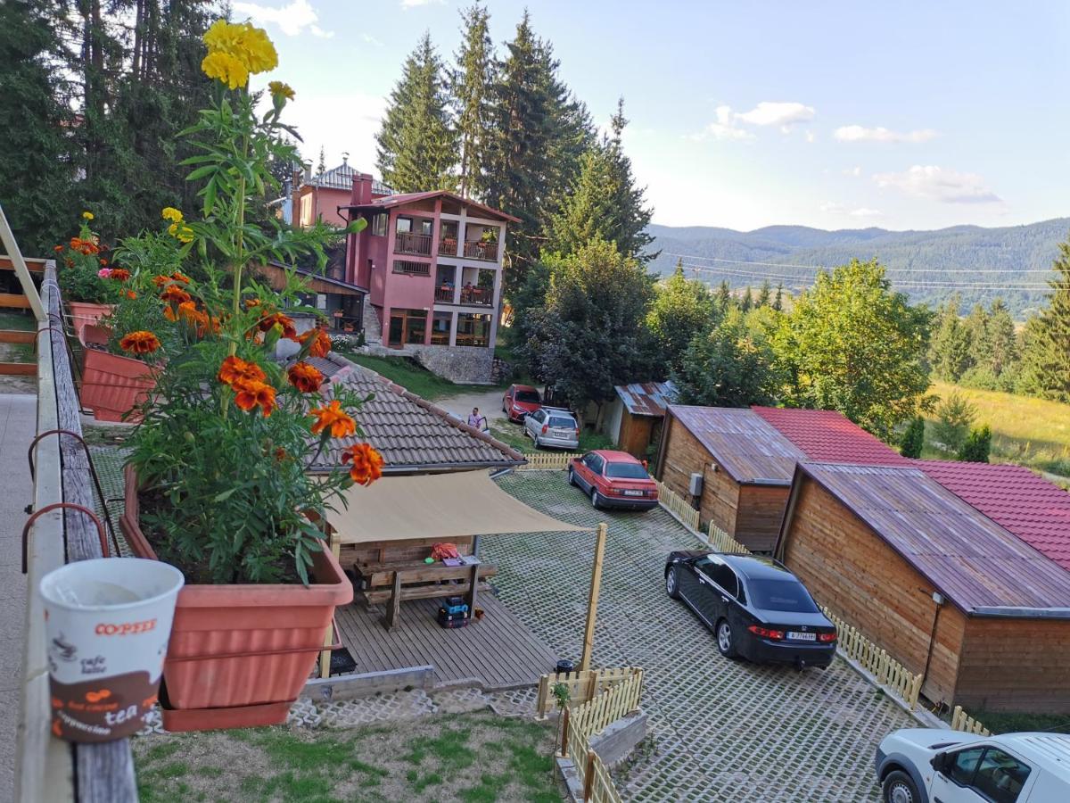 סרניצה Orlino Holiday Park מראה חיצוני תמונה